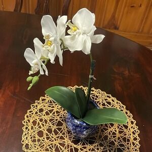 Faux White Phalaenopsis Orchid Silk Plant Blue ,Real Touch
